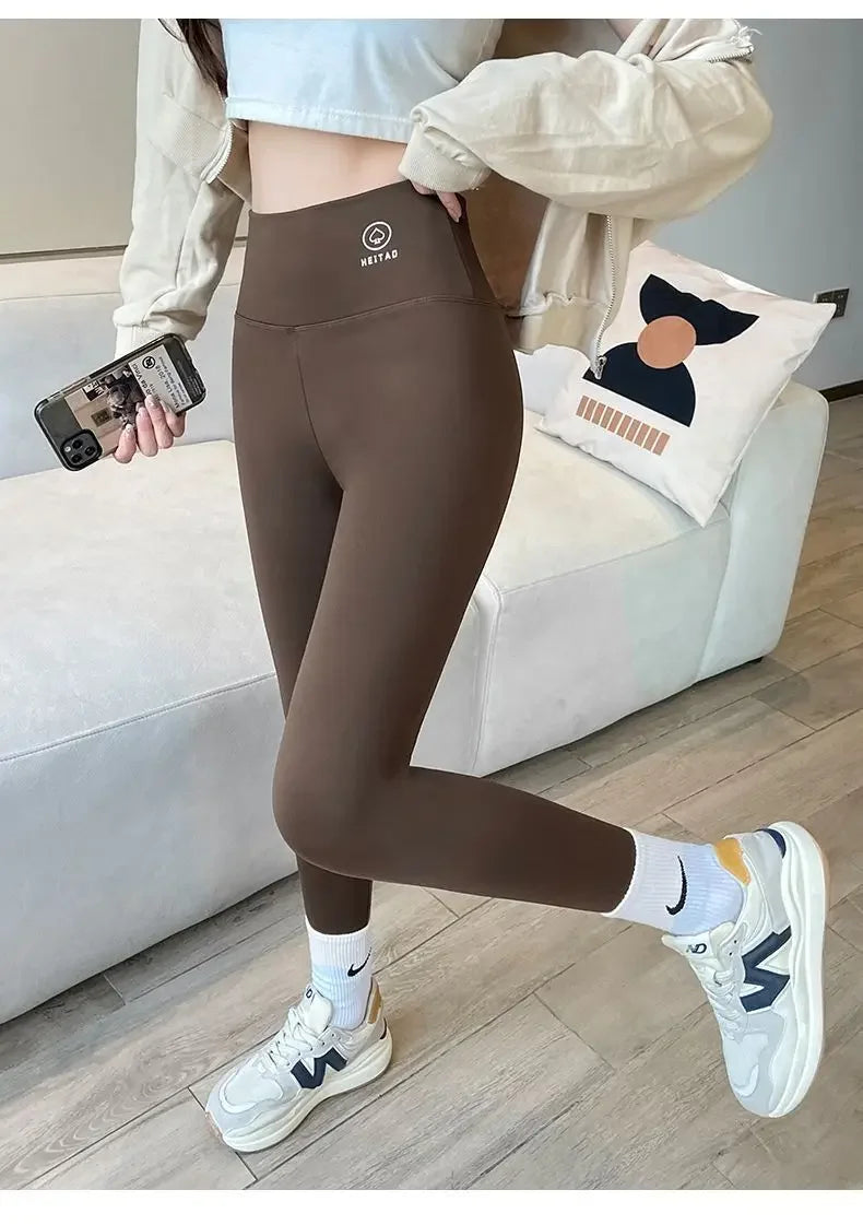 Legging shark fitness